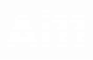Ai11 Consulting GmbH logo white transparent