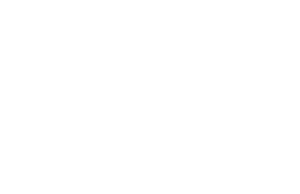 Ai11 Consulting GmbH logo white transparent