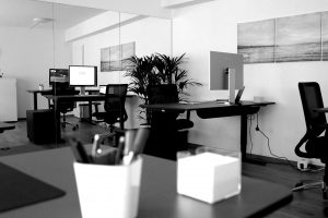 Interior view of the AI11 office space featuring modern design, ergonomic workstations, and abundant natural light.
